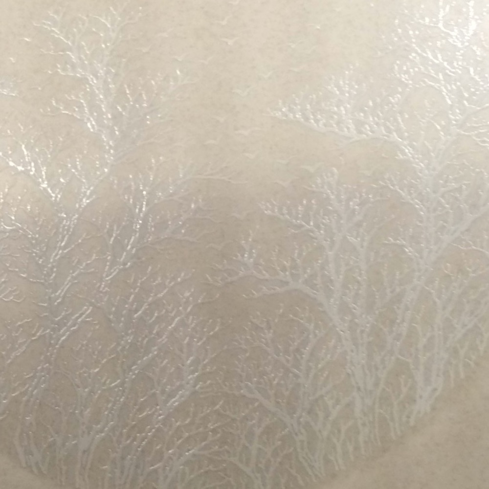 Four Lenox Temper-Ware Silhouette Dinner Plates - Picture 3 of 5